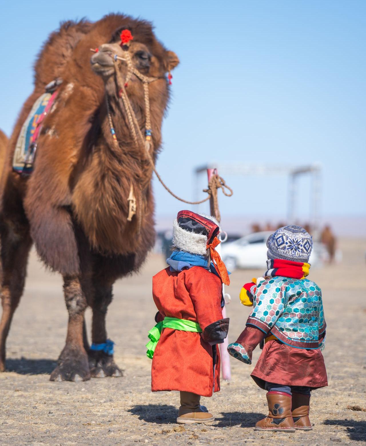 Zwei Kinder begutachten ein Kamel auf dem jährlichen Kamelfestival