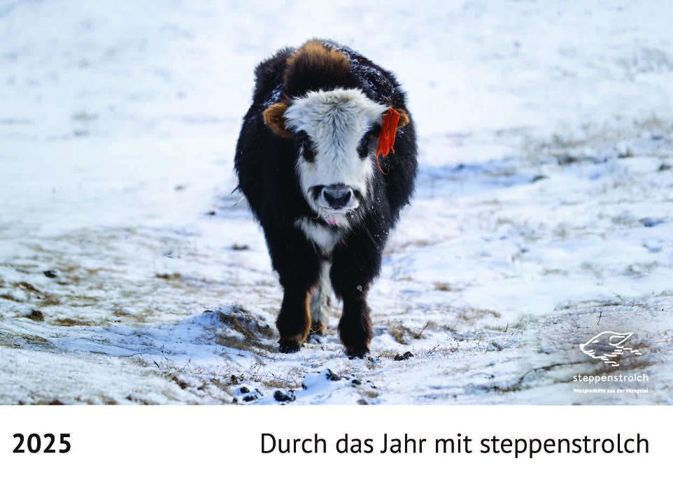 Yak in schneebedeckter Landschaft als Titelbild eines Kalenders