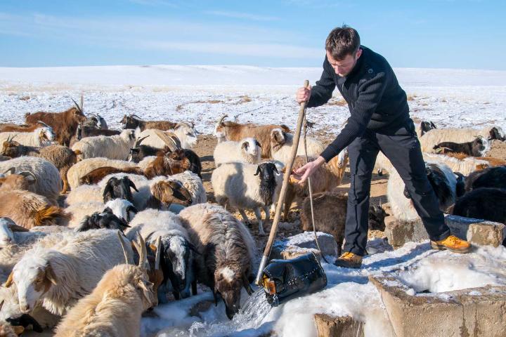 Ein junger Mann zieht Wasser aus einem Brunnen für Schafe, die um ihn herum trinken.