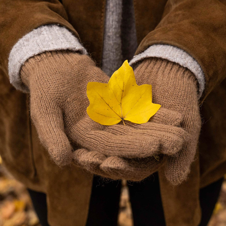 Braune Handschuhe aus Wolle halten ein gelbes Blatt