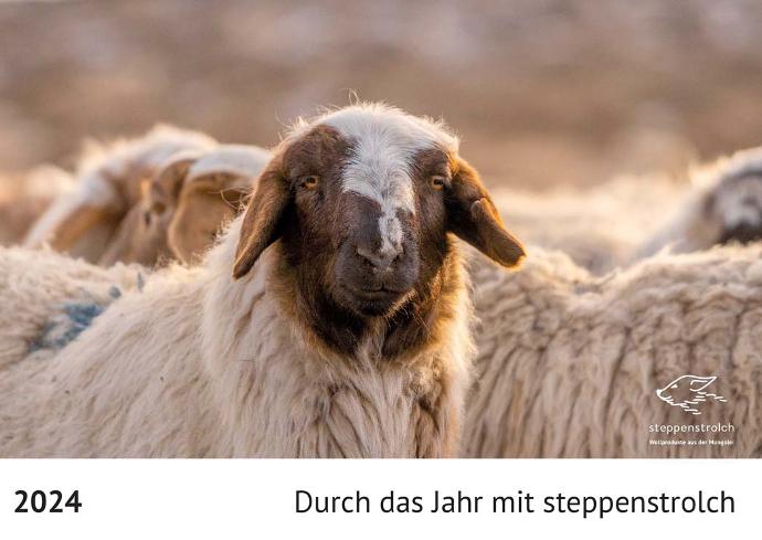 Ein Schaf auf dem Titelbild eines Kalenders