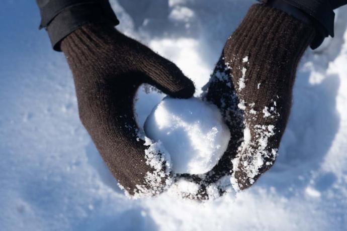 Dark brown mittens hold snowball