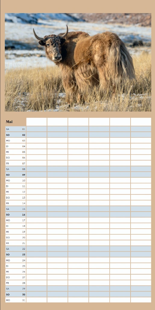 Screenshot 2026-10-02 142420.webp