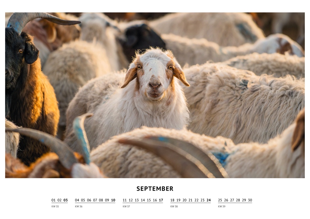 Kalender 2023 - September