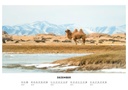 Kalender 2023 - Dezember
