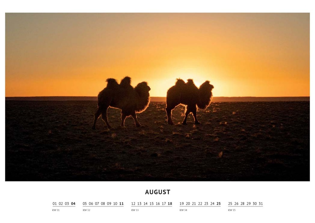 Kalender 2023 - August