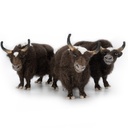 Yak-Kuscheltiere aus Filz