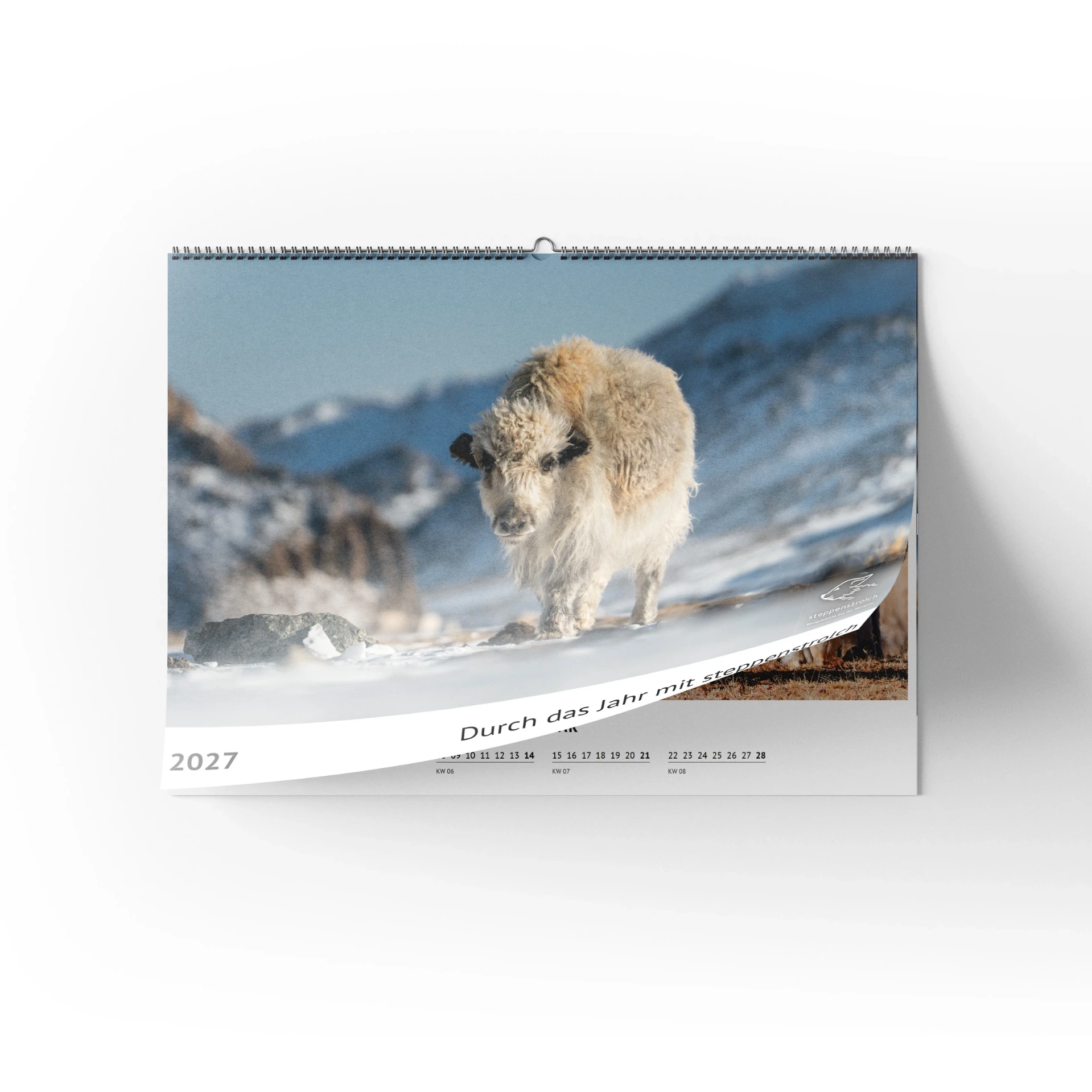 Wall Calender 2027
